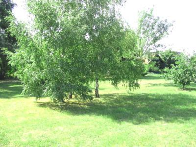 La Maison Tournesol - 3 Bedroom House With Large Garden Near Saumur Saint-Martin-de-la-Place Экстерьер фото