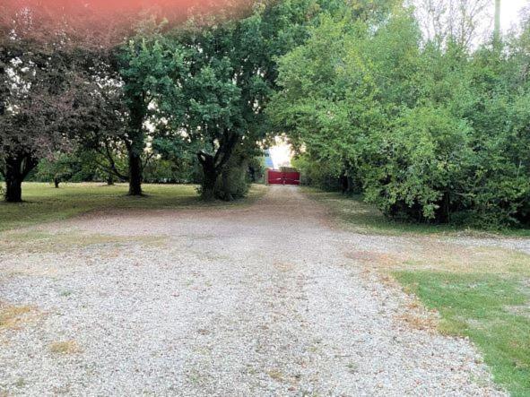 La Maison Tournesol - 3 Bedroom House With Large Garden Near Saumur Saint-Martin-de-la-Place Экстерьер фото